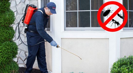 Kale Gümüşkurt İlaçlama böcek ilaçlama ve haşere kontrolü — ilaclama-tr.com